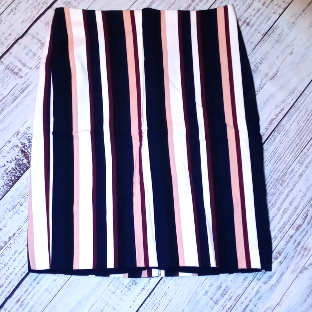 Ann Taylor skirt 12